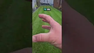 Hand weeding with an apple corer does work