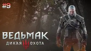 Побочные задания важны в Ведьмак 3 Дикая охота | Прохождение The Witcher 3: Wild Hunt
