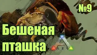 Бешеная птица Additional Creatures ARK: Survival Evolved