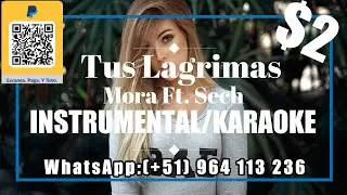 Mora Ft. Sech - Tus Lagrimas (INSTRUMENTAL/KARAOKE/LETRA/PISTA) AlbertEncinas25