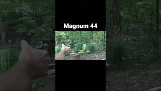 Magnum 44 VS watermelon #shorts #weapons #magnum #revolver #pistol #gun #shooting
