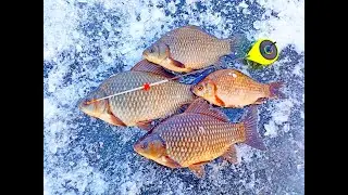 ЗНАЙШЛИ ОЗЕРО ДЕ КІШИТЬ КАРАСЬ! Карасі Картузи на мормишку з криги