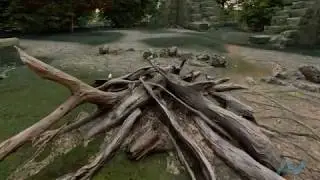 Forest Ruins!!