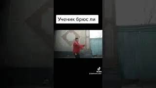 кунг-фу шоу