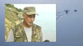 Ловля леща на донку, прикормка для леща