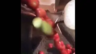 insane technology