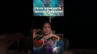 Иллюзия грибного мира