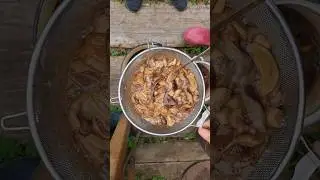 Жарим грибы! Mushrooms! #россия #еда #грибы #якутия