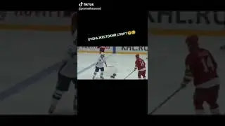 Зрелищная драка в хоккее