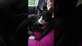 Яша. Поехали к хирургу.