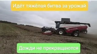 Идёт тяжёлая битва за урожай. Дожди не прекращаются. 12 серия.