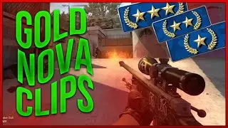 nothing just some gold nova clips