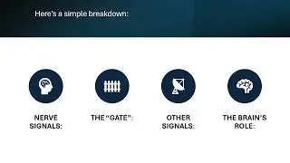 Understanding the Pain Gate Theory in Easy Steps