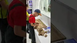 Давай вместе! Выставка Россия на ВДНХ