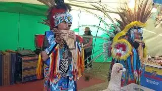 El Condor Pasa - Instrumental Music of the Andes - #nativemusic