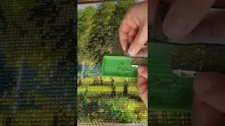 Diamond painting, process, видно берёзку? #asmr