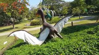 Pteranodon