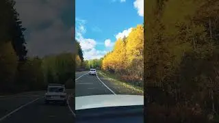 Осенний лес так прекрасен 🧡