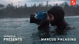 Shutterstock Presents: Artist Series with Marcus Paladino