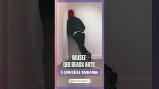 STREET ART au musée des Beaux Arts de Calais : Conquête urbaine.