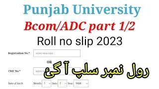 Adc Roll no slip 2023 ||bcom Roll no slip 2023||llb Roll no slip 2023|||punjab university