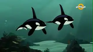 Frații Kratt - Blocați în Lumea Rechinilor (Sezonul 1, EP 24)