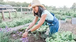 My GARDEN on the edge of the forest OFF GRID | FULL TOUR week 4