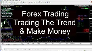 Forex Trading   Trading The Trend & Make Money  Video 10