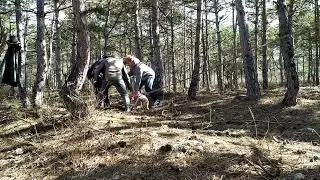 Булли 2