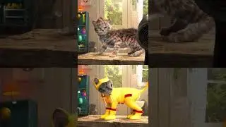 Animated Little Kitten