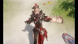 Lost Ark Soulfist Chaos dungeons Solo play