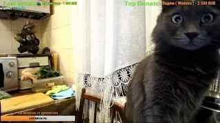 5 на 5, 1 на 1, катки со зрителями