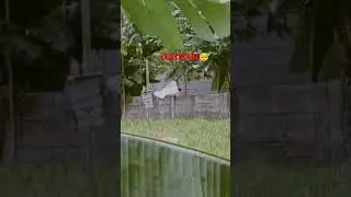 skandal anak SMK pulang sekolah