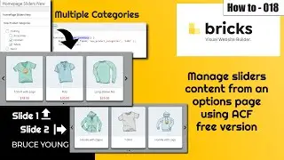 Manage the sliders content from an options page with ACF free using Bricks Builder