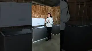 🍎 Морозильник   Almagreen BD/BC 275 серый