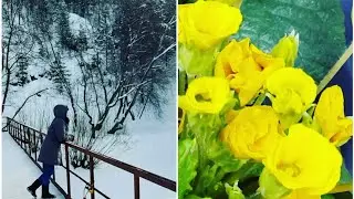 Мы поехали в Старопышминск погуляли и подышали в парке.
