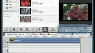 How to create disc menu for video using AVS Video Editor?