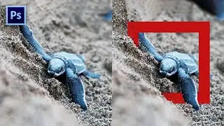 AMAZING PHOTOGRAPHY TECHNIQUE TO CREATE 3D FRAME EFFECT ON PHOTOSHOP | Photo Manipulation Tutorial