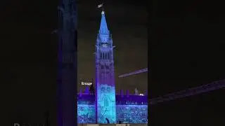 Как канадцы относятся к собакам?