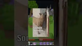 Hilarious Discord Memes