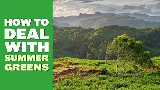 How to edit summer greens | Landscape Photography