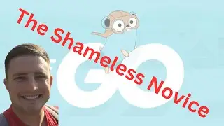 The Shameless Novice - Go - Second Iteration