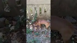 ОБИДЕЛАСЬ!