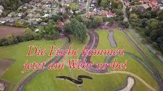Lengede   Umbau der Fuhse 4