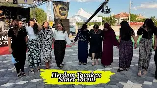 Herdem Tavukcu- Sünnet Töreni- Botan Roj- Halaylar- Celep Köyü- BaşaranVideo®