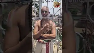 thiruvallikkENi vaibhavam - 1 - Introduction #shorts #brindharanya #parthasarathy #krishna