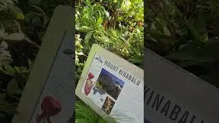 Botanical Garden, Atlanta Ga