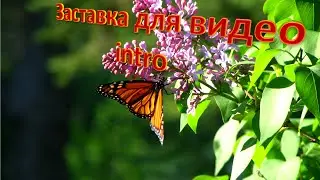 Заставка к видео intro