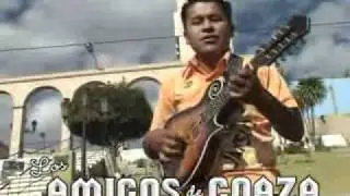 Amigos de coaza hechicera primicia 2010
