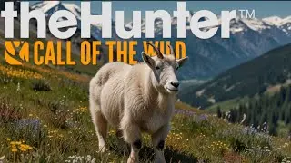Intensive Verfolgungsjagd in den Bergen - The Hunter call of the wild